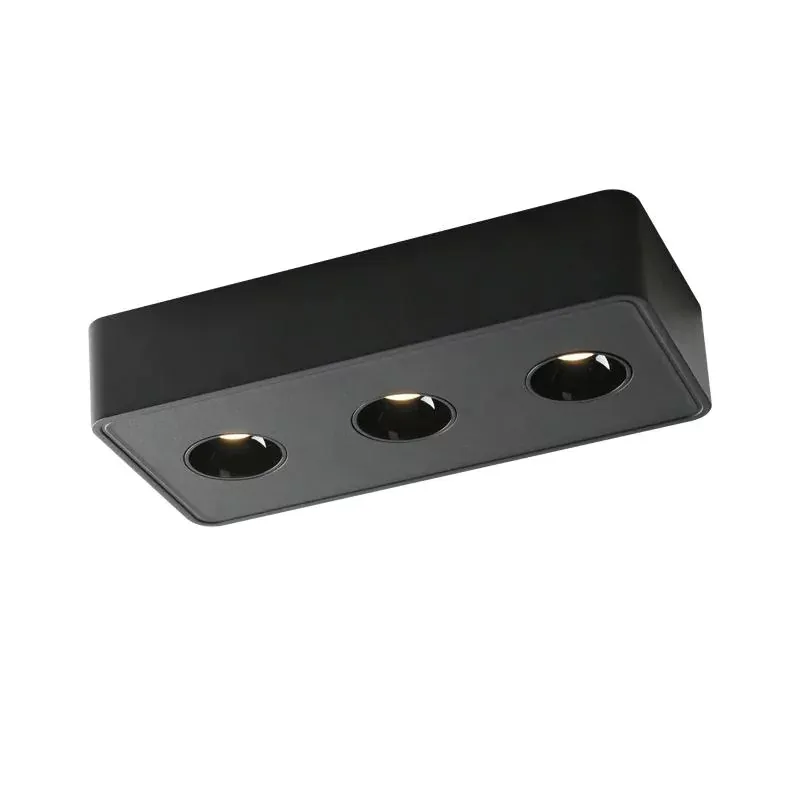 DRAUPNIR Surface Downlight