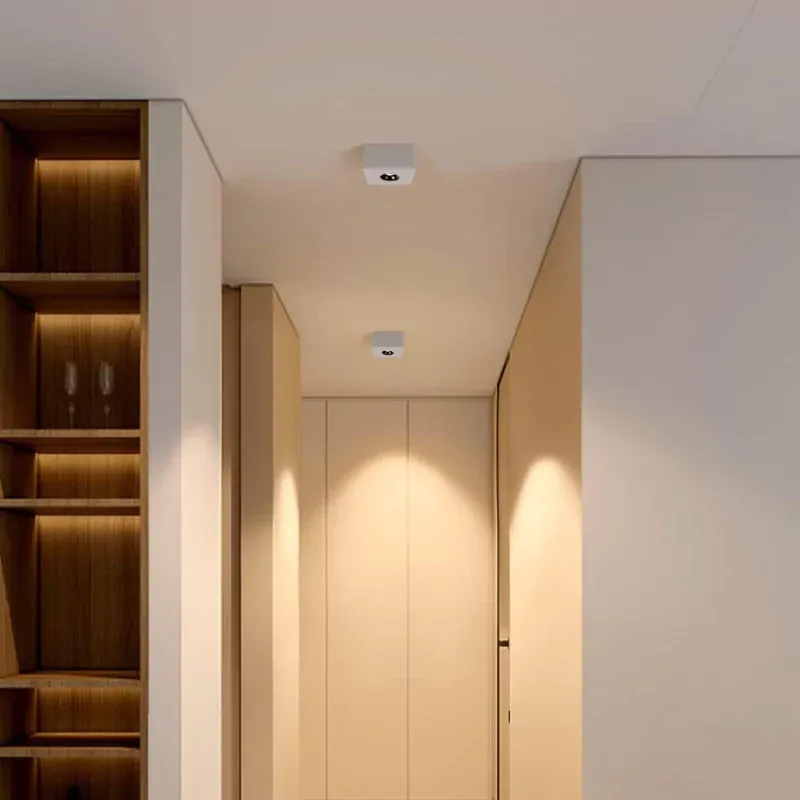 DRAUPNIR Surface Downlight