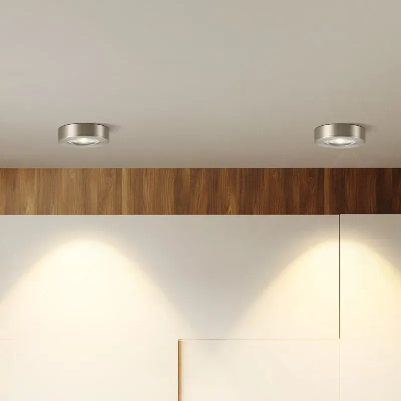 EunoraMetal Downlight