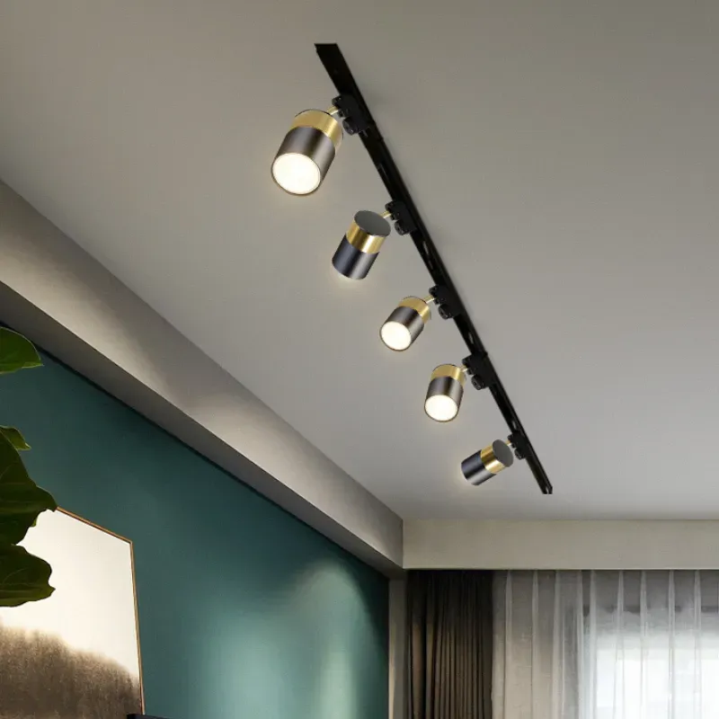 FabioPolished Tracklight