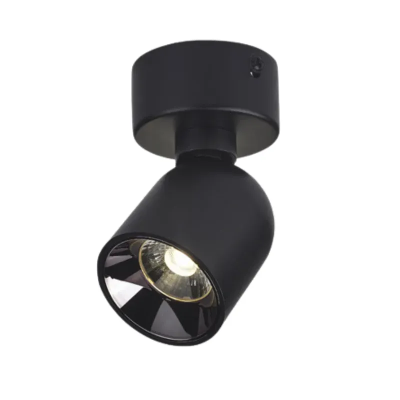 FaylonDrop Surface Mounted Spotlight