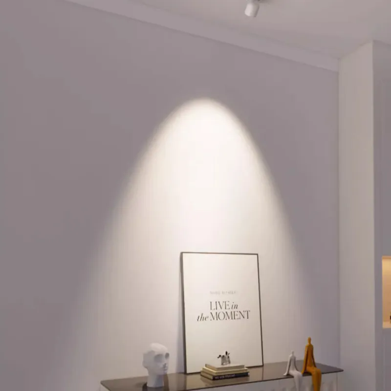 FaylonDrop Surface Mounted Spotlight