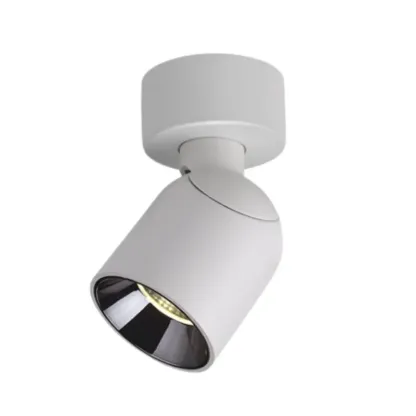 FaylonDrop Surface Mounted Spotlight