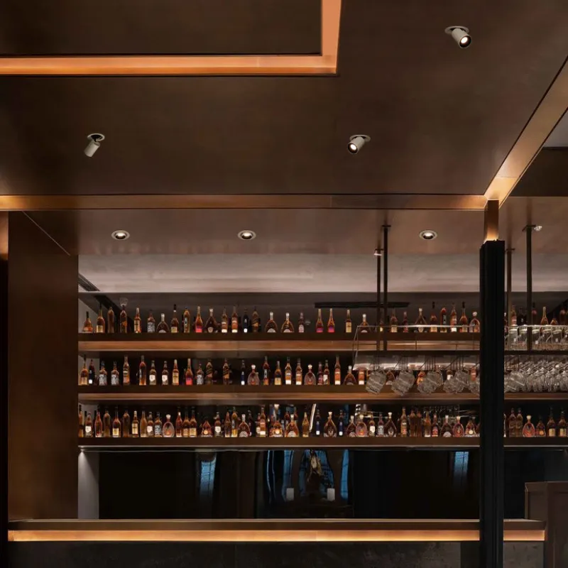 FJALAR Recessed Downlight