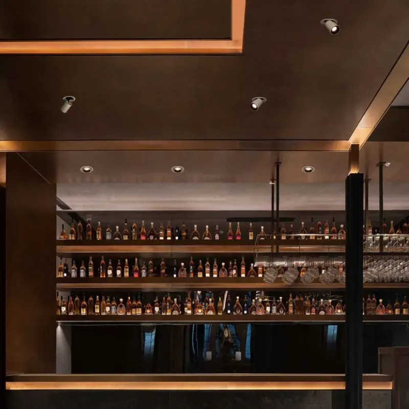 FJALAR Recessed Downlight