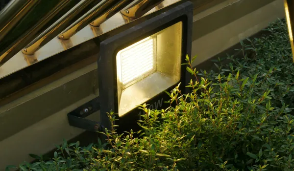 Outdoor LED floodlight illuminating plants along a building wall