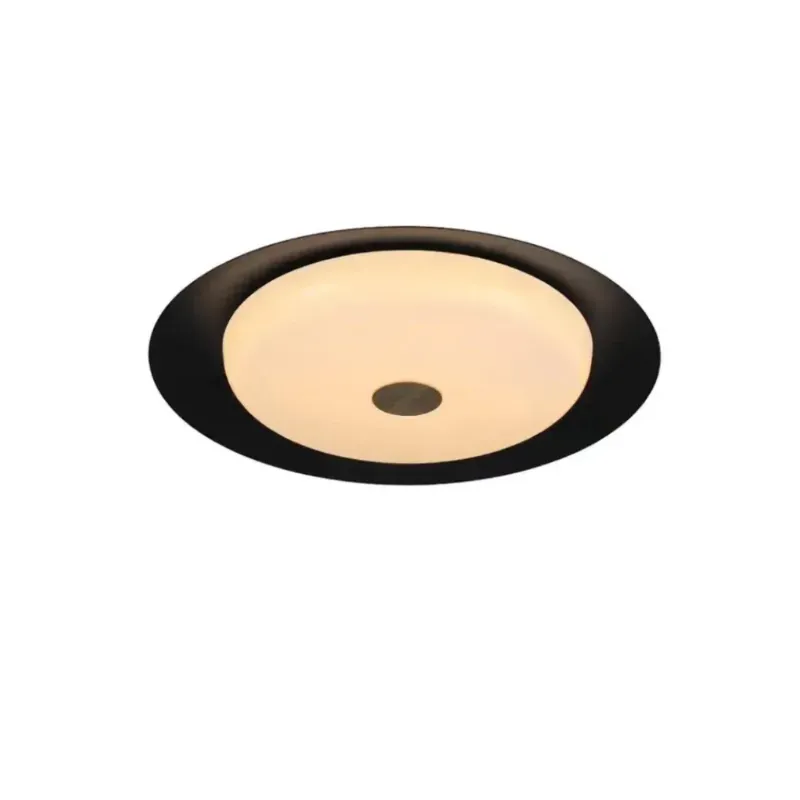 GlowDome Ceiling Light - Adjustable and Stylish
