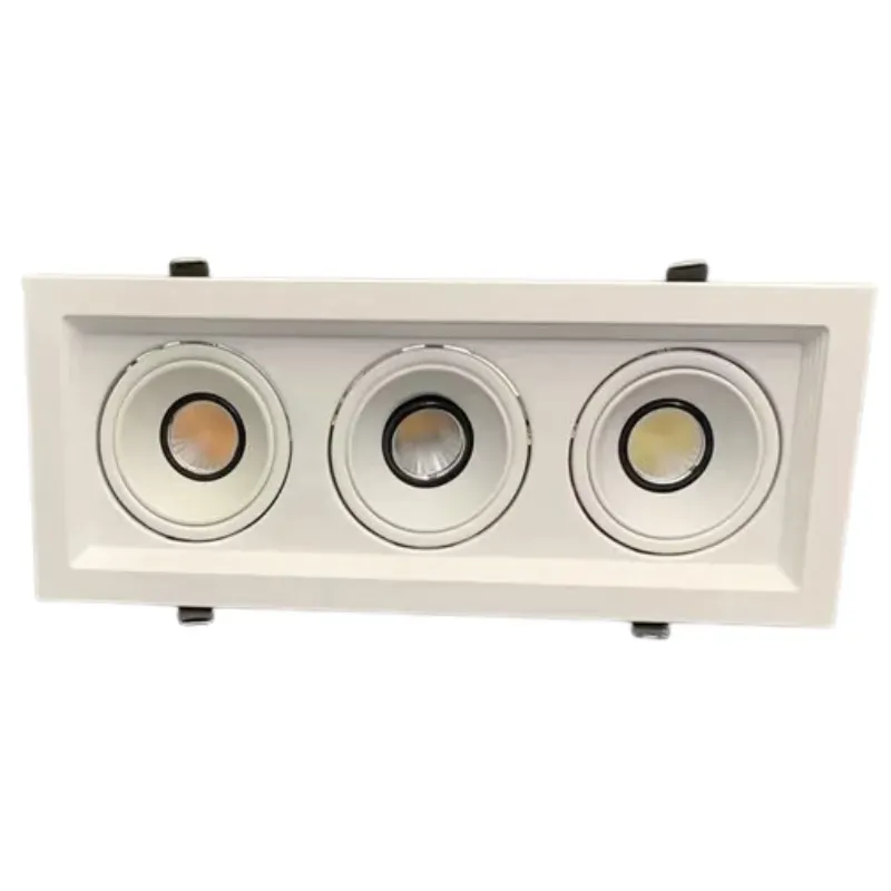 HalvynQuad Recessed Downlight
