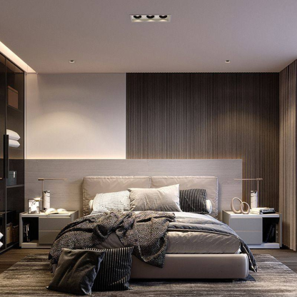 HalvynQuad Recessed Downlight