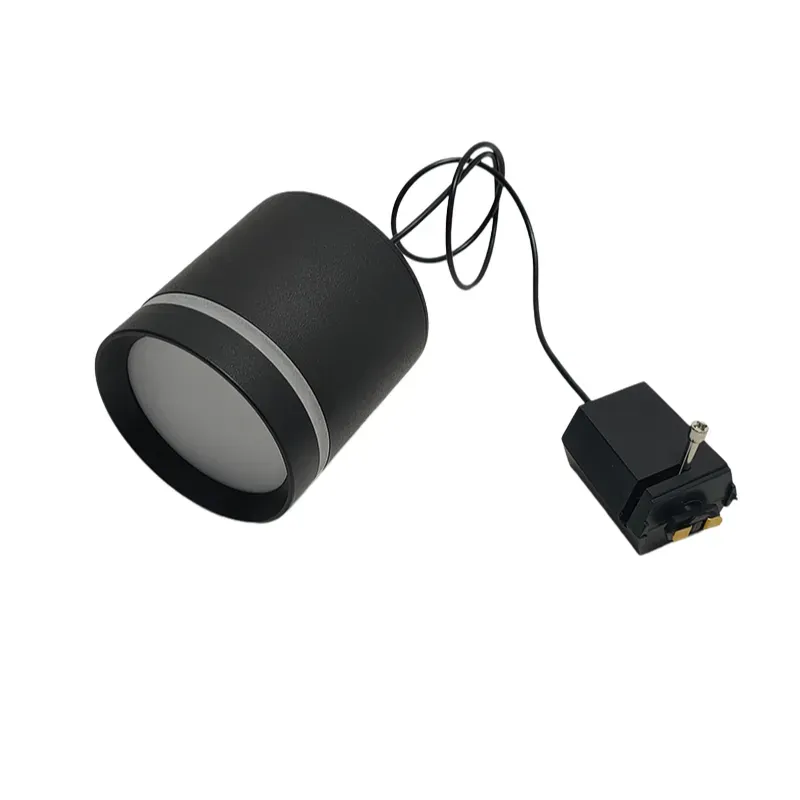 HorizonHang Tracklight
