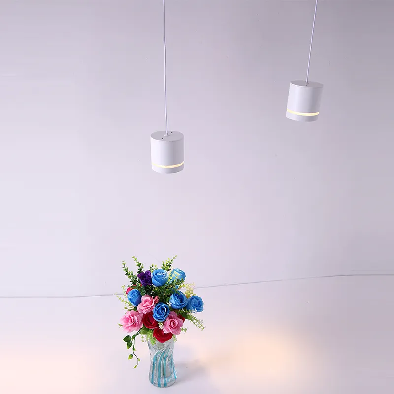 HorizonHang Tracklight
