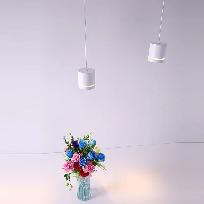 HorizonHang Tracklight