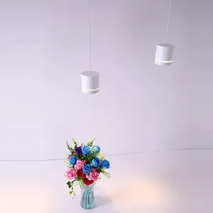 HorizonHang Tracklight