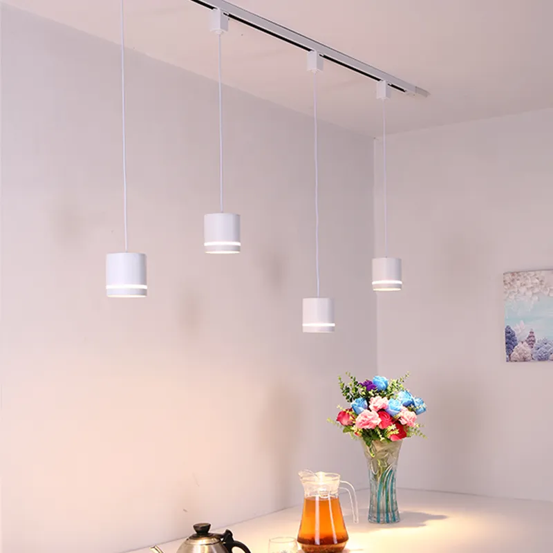 HorizonHang Tracklight