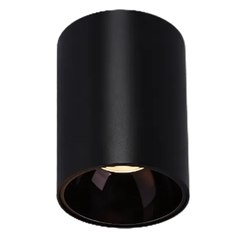 HYDRA Waterproof Surface Mounted Downlight