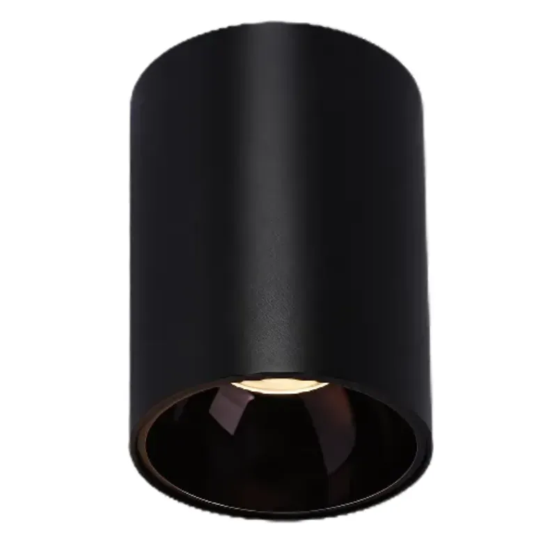 HYDRA Waterproof Surface Mounted Downlight