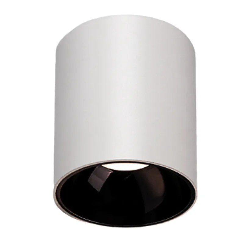 HYDRA Waterproof Surface Mounted Downlight