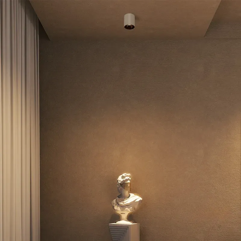 HYDRA Waterproof Surface Mounted Downlight