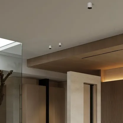 HYDRA Waterproof Surface Mounted Downlight