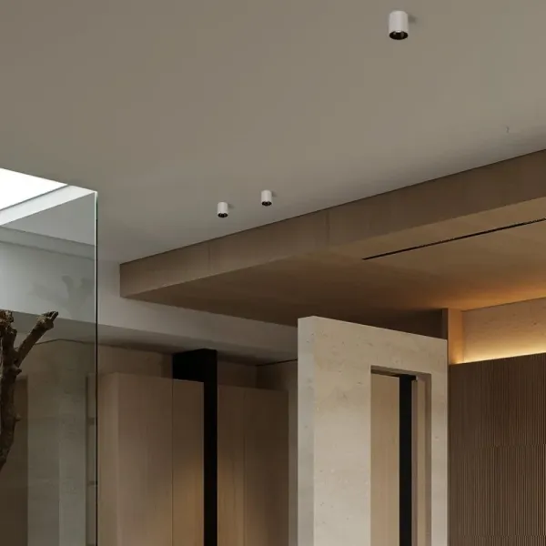 HYDRA Waterproof Surface Mounted Downlight – Light Makers