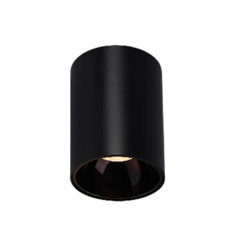 HYDRA Waterproof Surface Mounted Downlight