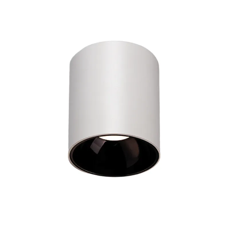 HYDRA Waterproof Surface Mounted Downlight