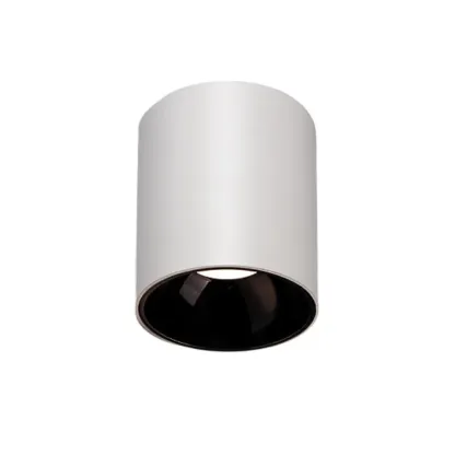 HYDRA Waterproof Surface Mounted Downlight