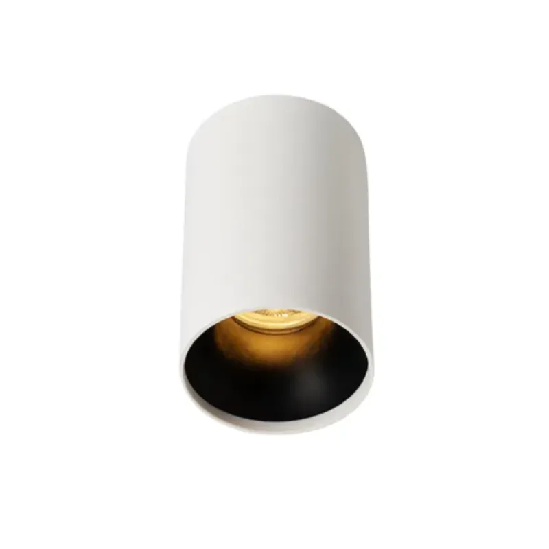 HYDRA Waterproof Mounted Downlight