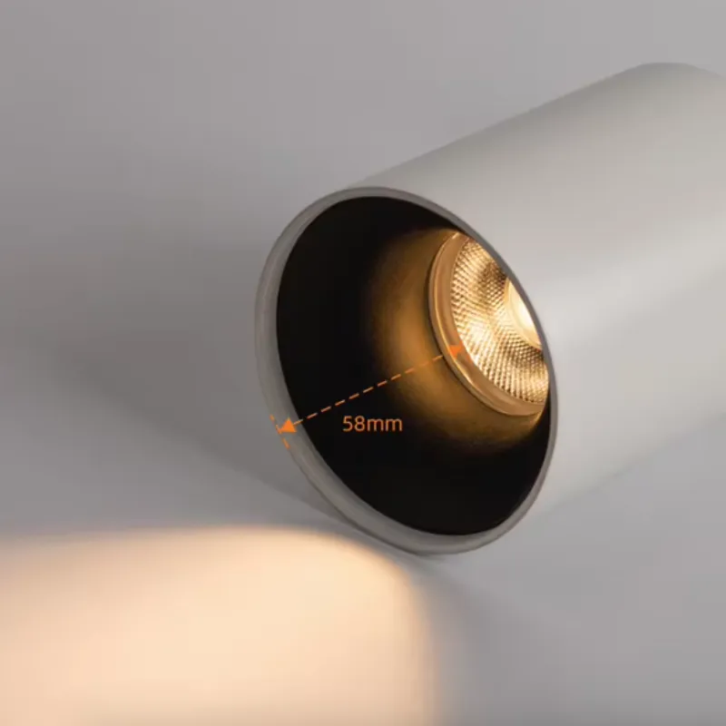 HYDRA Waterproof Mounted Downlight