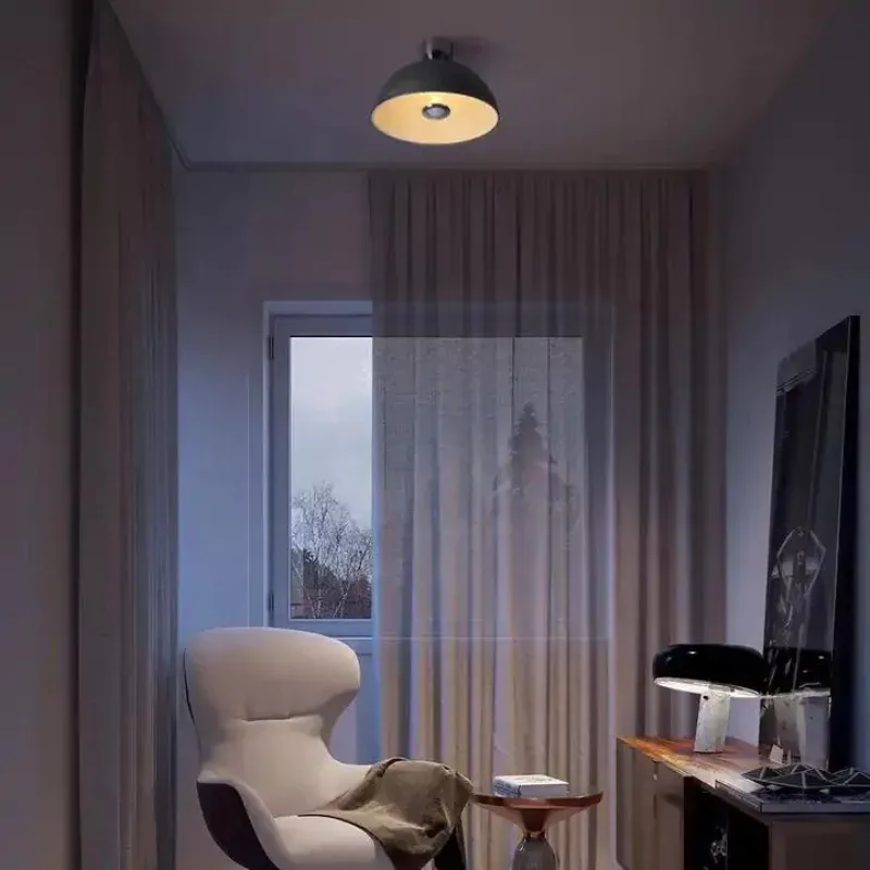 IWADE Ceiling Light