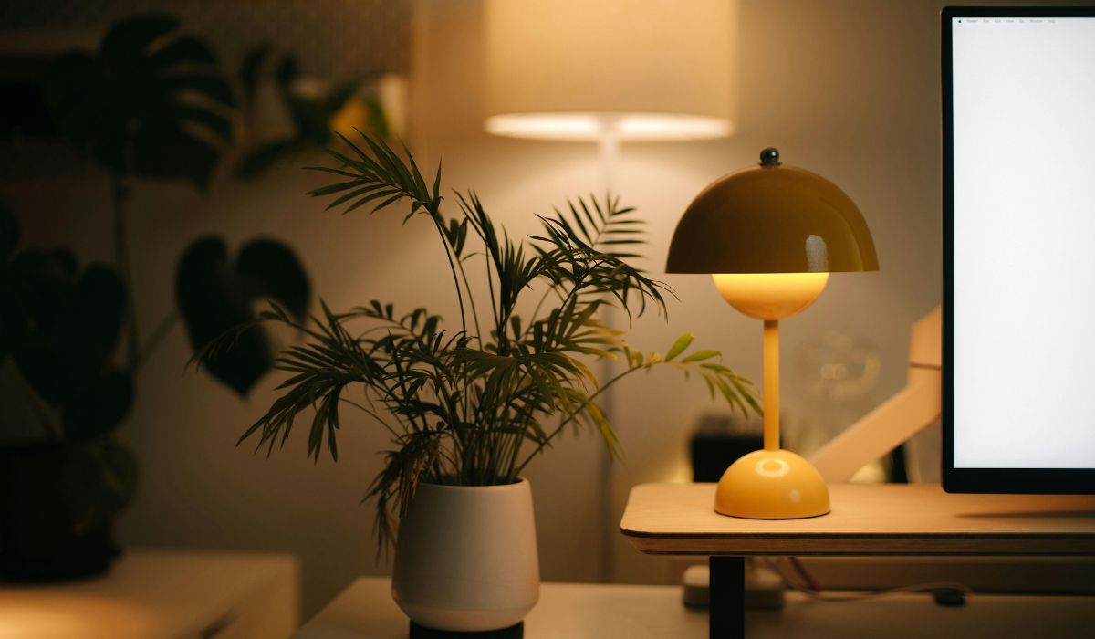 Cozy workspace with warm desk lighting, potted plant, and layered ambient lighting.