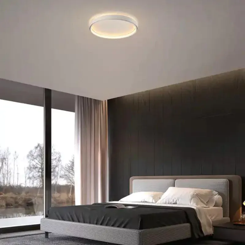 slim ceiling light