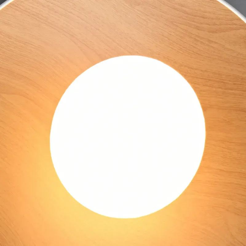 LunoShell Ceiling Light