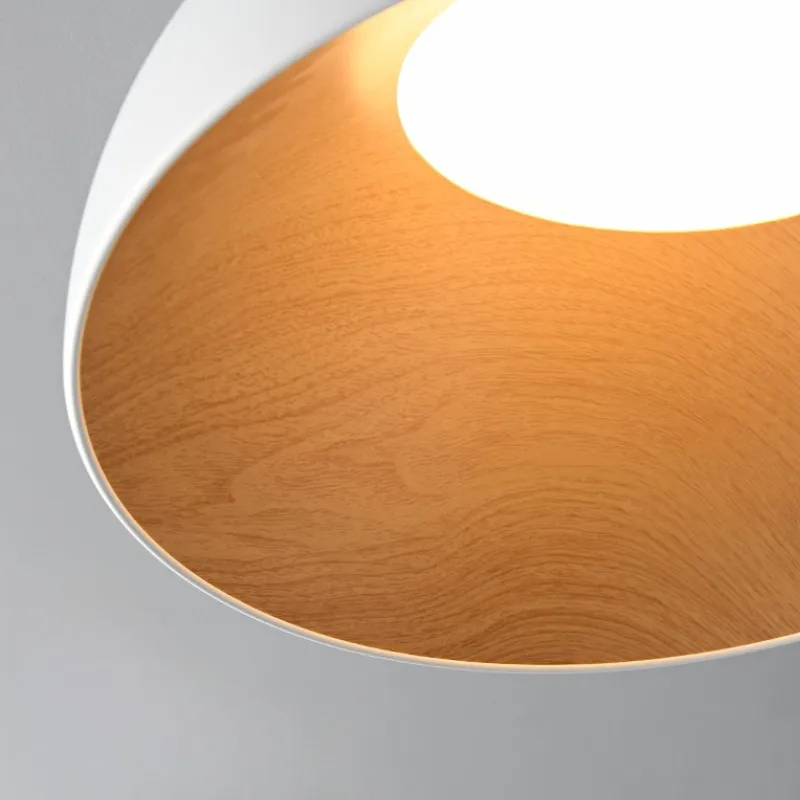LunoShell Ceiling Light