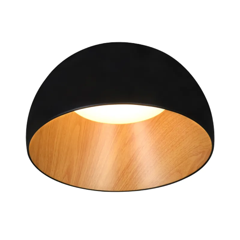 LunoShell Ceiling Light