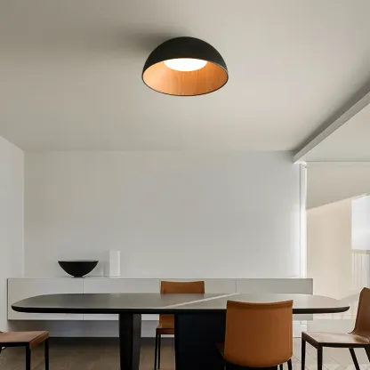 LunoShell Ceiling Light