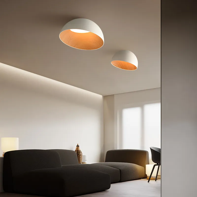LunoShell Ceiling Light