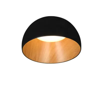 LunoShell Ceiling Light