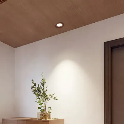 MaderaWalnut Recessed Downlight