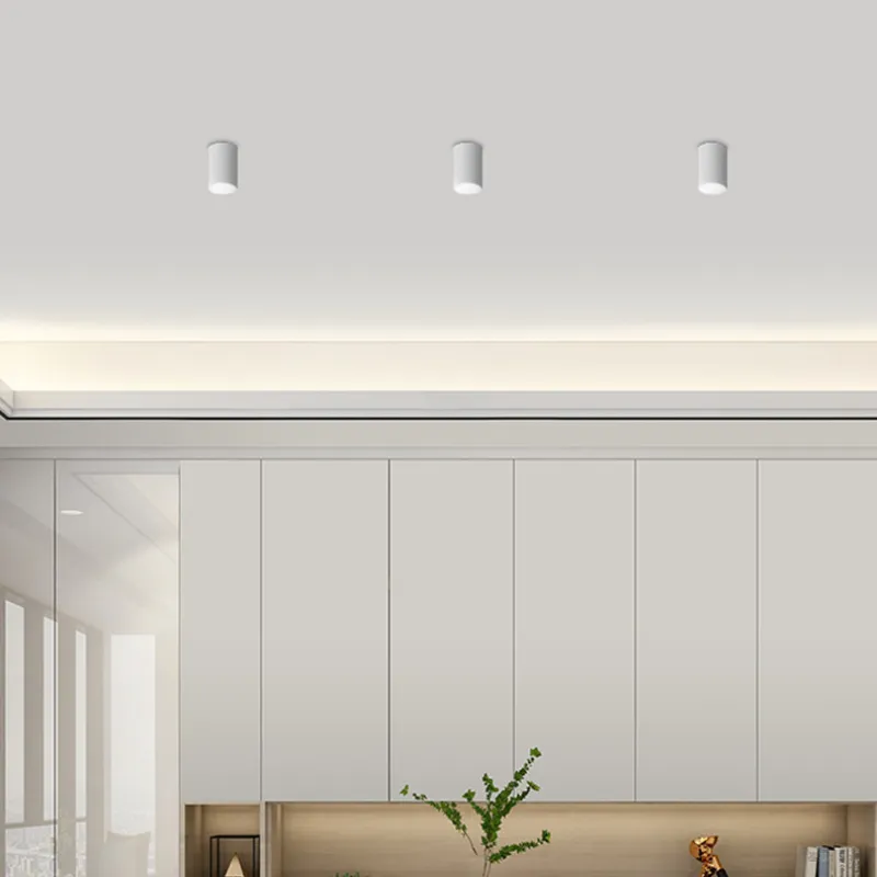 MiravaDisk Surface Mounted Downlight