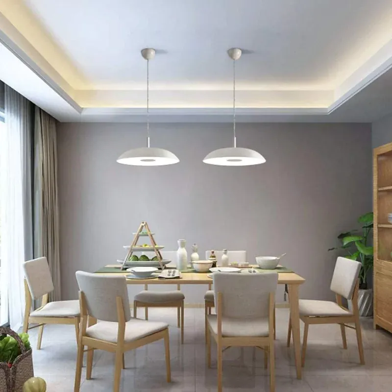 MODERM SOMPLE STYLE Pendant Light