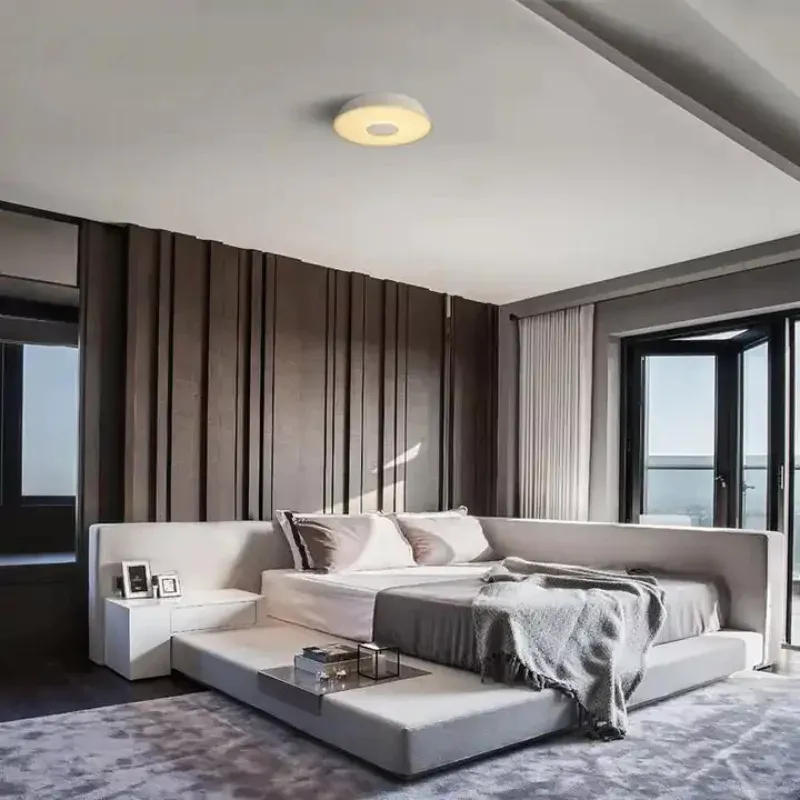 MODERN GEOMETRY Ceiling Light