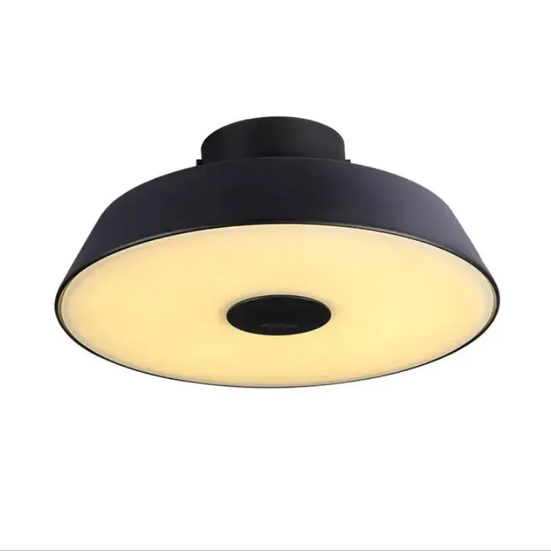 Versatile SolaraBeam Ceiling Light 24W Dimmable