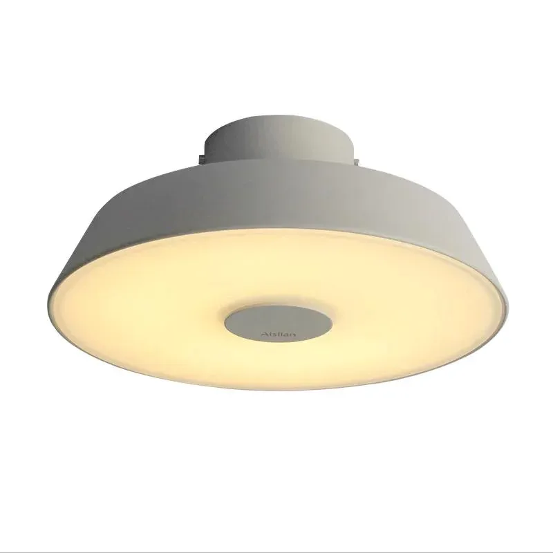 MODERN SIMPLE Ceiling Light