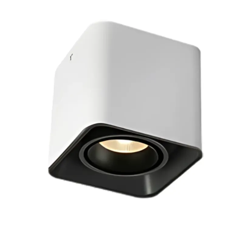 MUSPEL Surface Mounted Downlight
