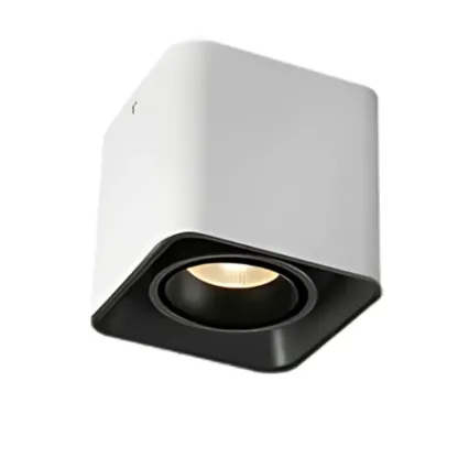 MUSPEL Surface Mounted Downlight