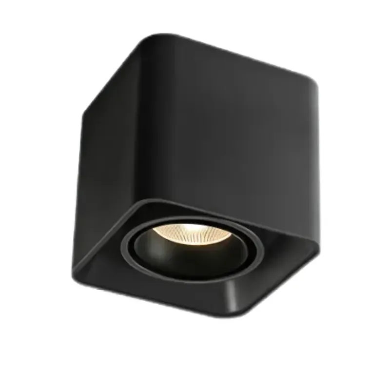 MUSPEL Surface Mounted Downlight