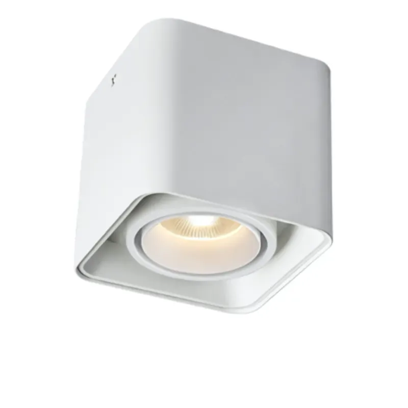 MUSPEL Surface Mounted Downlight