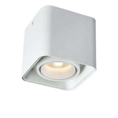 MUSPEL Surface Mounted Downlight