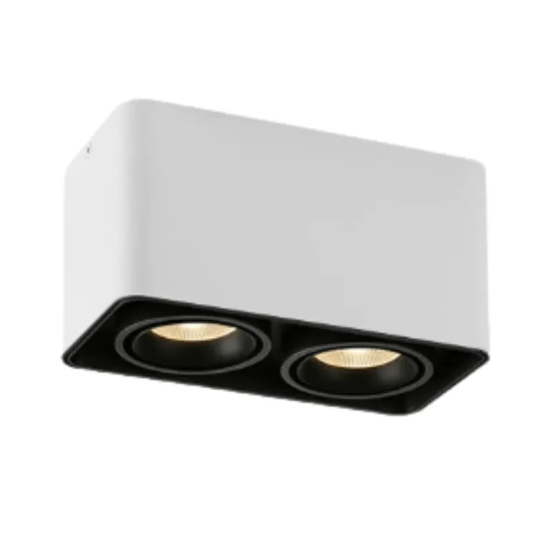 MUSPEL Surface Mounted Downlight